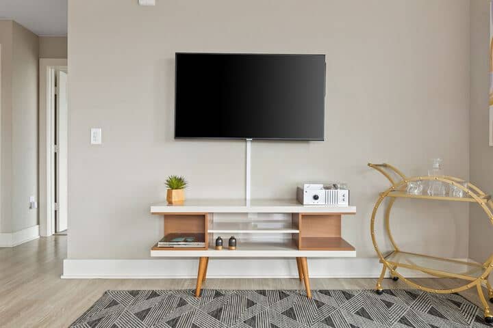 Television
